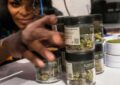El Gobierno reglamentó la Ley de Cannabis Medicinal