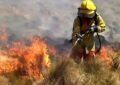 Incendios forestales generalizados afectan la provincia de Córdoba