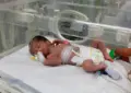 Milagro en Gaza: salvaron a una beba que sacaron del vientre de su madre muerta